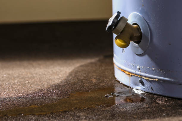 Best Flood restoration services  in Bagdad, FL