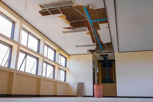 Best Ceiling water damage repair  in Bagdad, FL