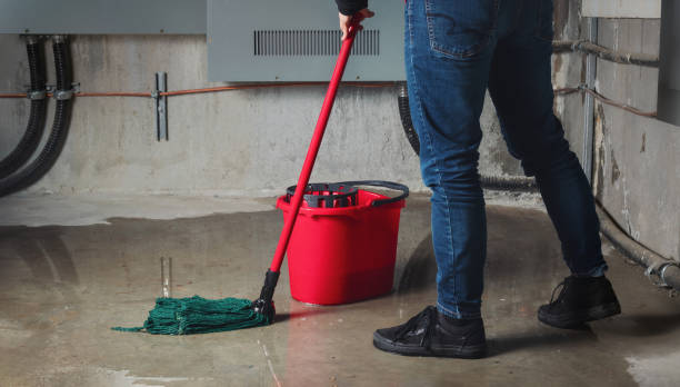 Best Water damage restoration near me  in Bagdad, FL