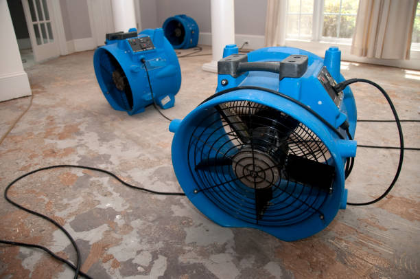Best Ceiling water damage repair  in Bagdad, FL