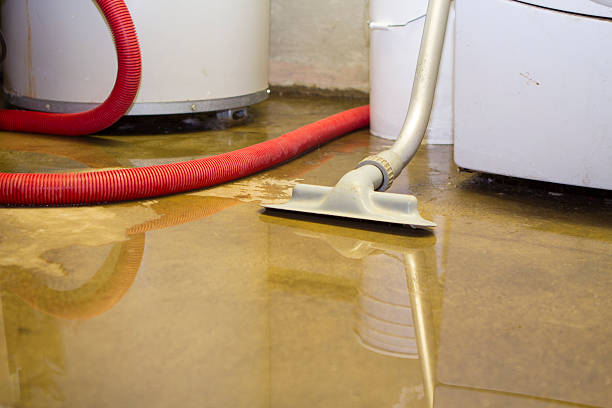 Best Water damage restoration near me  in Bagdad, FL