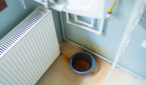 Best Flood restoration services  in Bagdad, FL