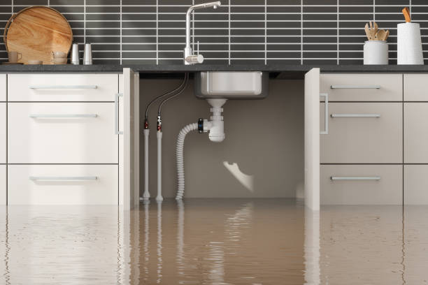 Best Water damage restoration mold remediation  in Bagdad, FL