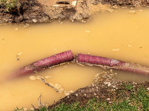 Best Sewage cleanup and water damage restoration  in Bagdad, FL
