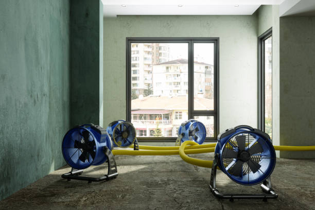 Bagdad, FL Water damage restoration Pros