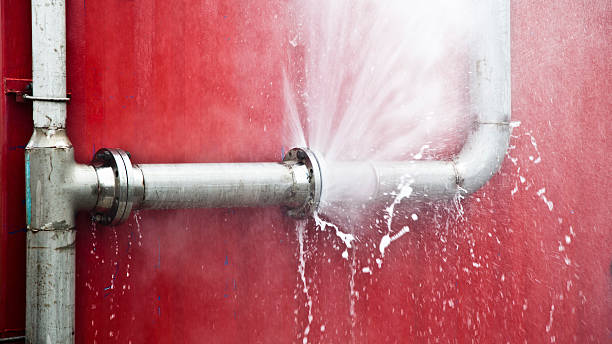 Best Professional water damage repair  in Bagdad, FL